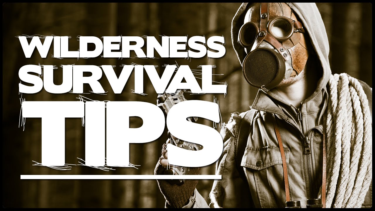 How To Survive In The Wilderness Wilderness Survival Tips 